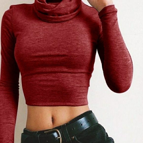 Maroon Crop Top | Large | Sexy Cotton Turtleneck - Picture 3 of 3